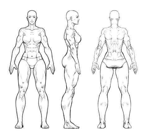 study of anatomy Woman | Cartoon drawings, Concept art characters ...