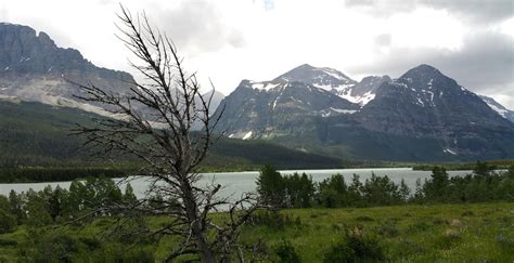 Fishing Saint Mary Lake in Montana – 365 Angler