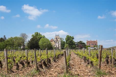 Top northern Côte de Beaune 2022 wines en primeur - Decanter