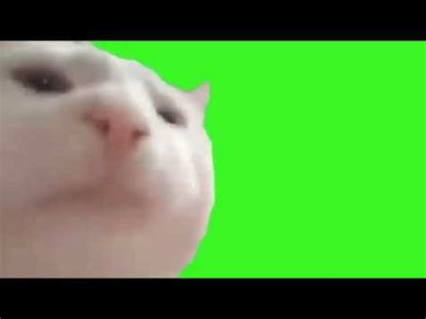 View 16 Vibing Cat Meme Gif Transparent - peevcesz