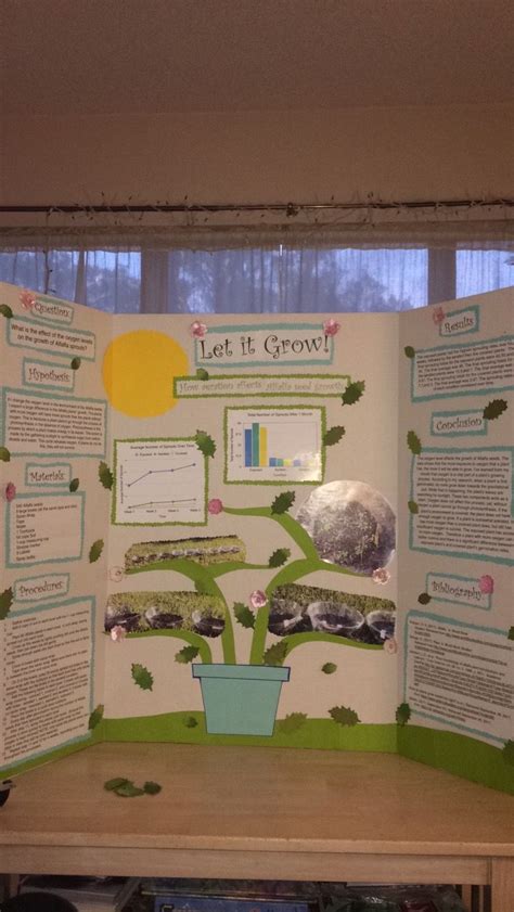 Science Fair Project; sixth grader plants graph board display decorated ...