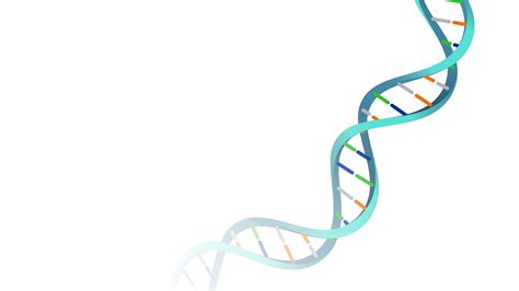 Dna Png Image With Transparent Background Free Png Images Images And ...