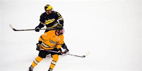 How to Play Left Wing in Hockey (4 Tips with Videos)