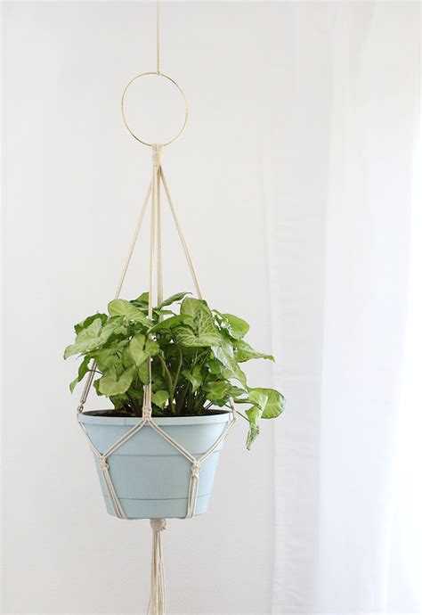 Simple DIY Macrame Plant Hanger - Persia Lou