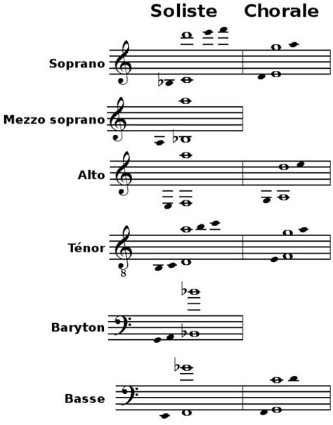 Soprano, alto, ténor ou basse?