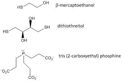 Chemistry of Cystine