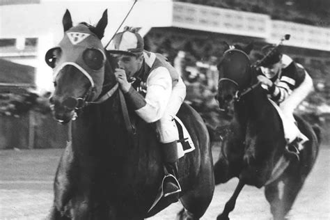 Scientists Extract DNA From Seabiscuit's Hooves To Figure Out How He ...