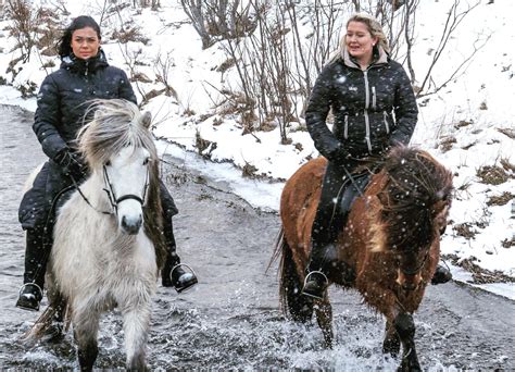 The three top questions first-time Icelandic horse riders ask before ...