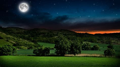 landscape, full moon, meadow, tree, moonlit, grassland, moon, 4K, field ...