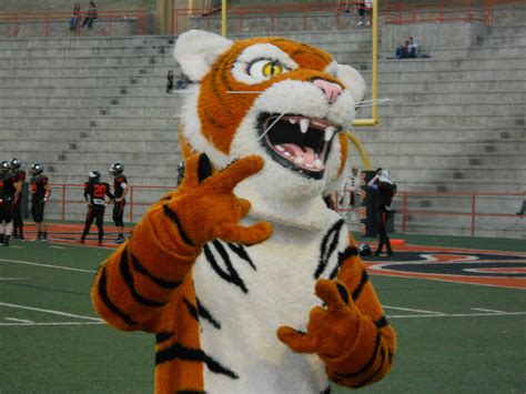 Tiger Mascot For El Paso High - 2014 - DIGIE