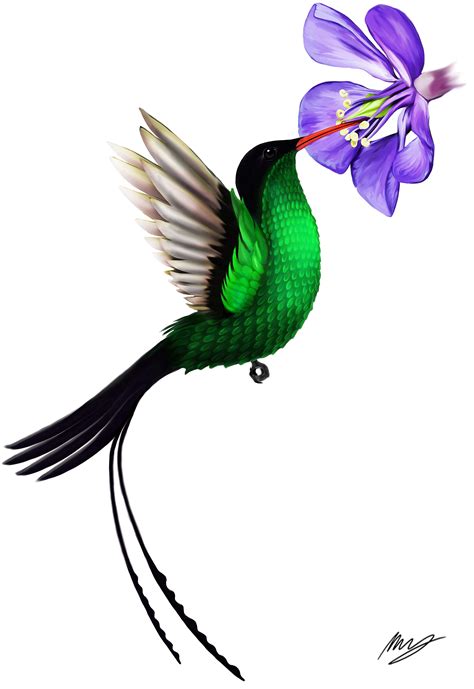 Jamaica National Bird Coloring Pages - Coloring Pages Ideas