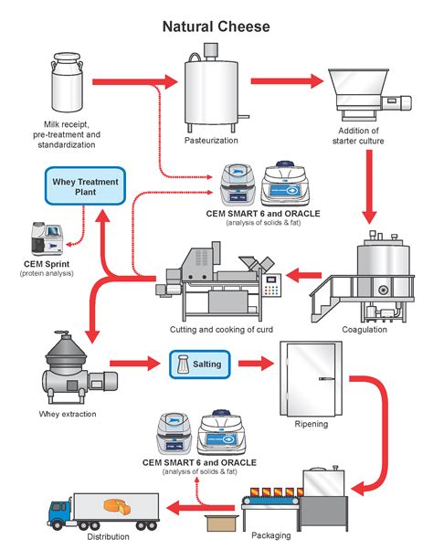 Natural Cheese Production Process