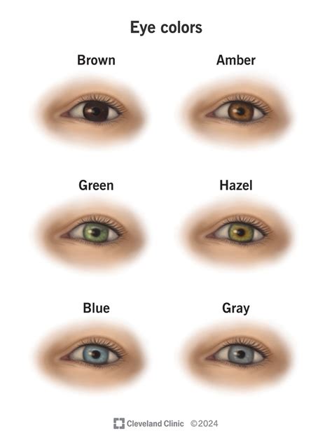 Hazel Eyes Facts