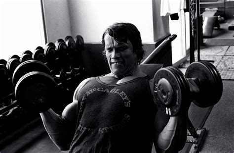 6 Arnold Schwarzenegger Bodybuilding Wallpapers Posters and Pictures ...