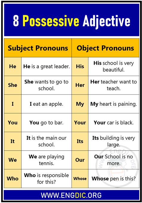 8 Possessive Adjective, Definition, and Examples Sentences - EngDic