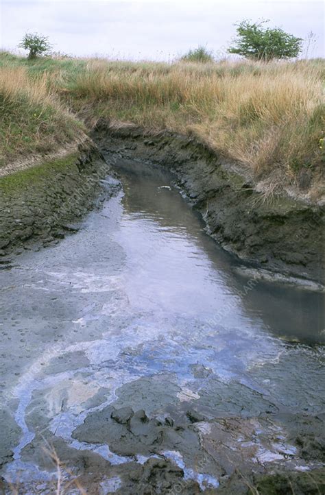 Polluted stream - Stock Image - E820/0258 - Science Photo Library