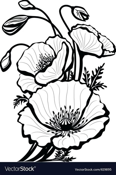 Lovely poppy outline b&w | Poppy flower drawing, Poppy drawing, Drawings