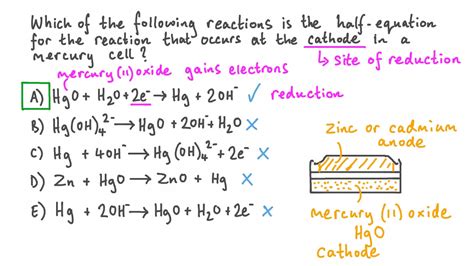 Reduction Half Reaction