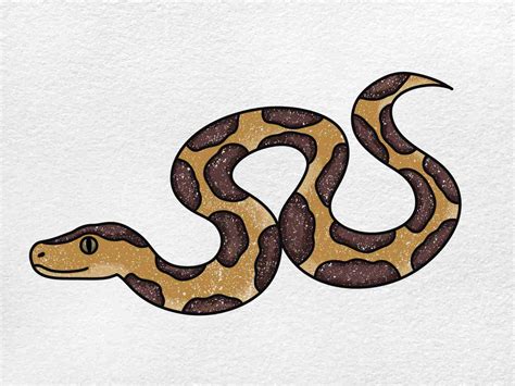 Burmese Python Drawing - HelloArtsy