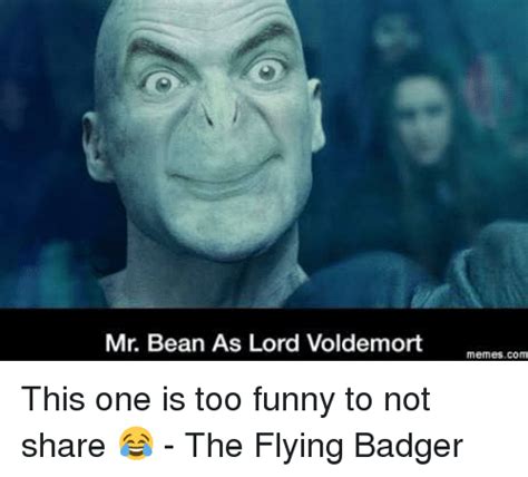 lord voldemort meme - Google Search