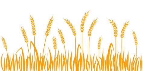 Wheat Border Images – Browse 21,123 Stock Photos, Vectors, and Video ...