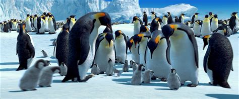 Emperor Penguin - Happy Feet Wiki, The Movie-Based Happy Feet Encyclopedia