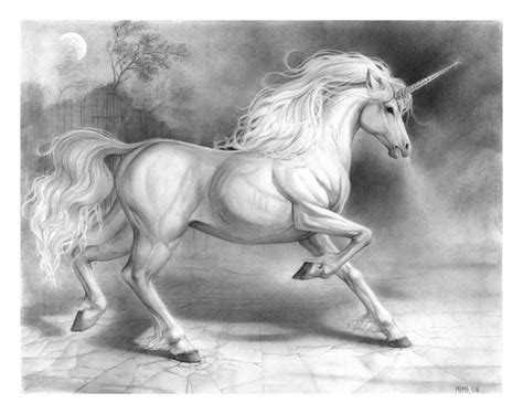 Unicorn in pencil | Unicorn drawing, Unicorn art, Unicorn and fairies