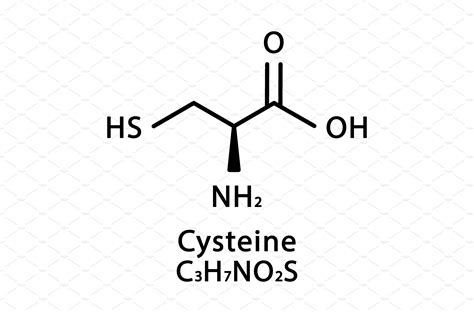 Cysteine molecular structure | Education Illustrations ~ Creative Market