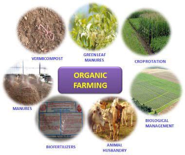 Organic Farming, Bio-Fertilizers and Their Use in Agriculture - PMF IAS