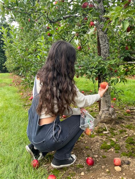 apple picking in 2024 | Fall apple picking aesthetic, Apple picking ...