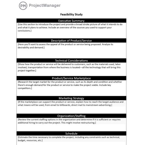 Feasibility Study Template for Word (Free Download)