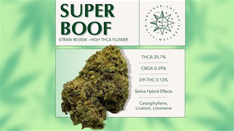 Strain Review: Super Boof - Greener Things