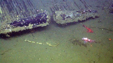 Flying aircraft carrier sunken at bottom of Pacific Ocean explored by ...