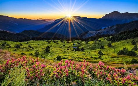 Download Flower Mountain Field Sun Sunrise Nature Landscape HD Wallpaper