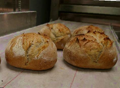 The Taste Of Fall Exquisite Chestnut Bread Recipe – Sexy Turnip