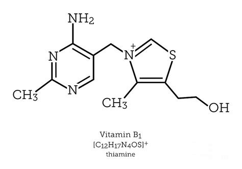 Molecular Structure Of Vitamin B1 by Science Photo Library