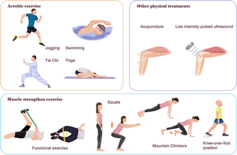 Physical therapy as a promising treatment for osteoarthritis: A ...