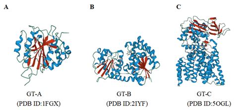 Fermentation | Free Full-Text | UDP-Glycosyltransferases in Edible ...