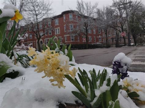 MA Snow: Winter Takes One Last Slap At The Region | Boston, MA Patch