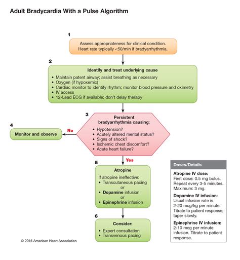 Acls algorithms, updates, evidence based studies | Acls algorithm ...