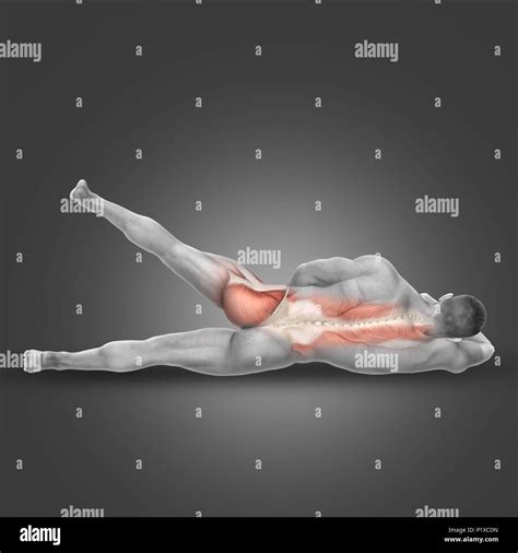 3D render of a male figure in side lying hip abduction pose with ...