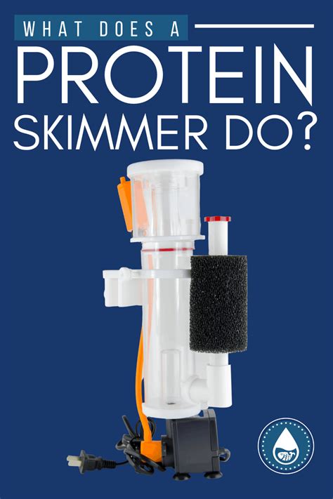 What Is A Protein Skimmer And What Does It Do