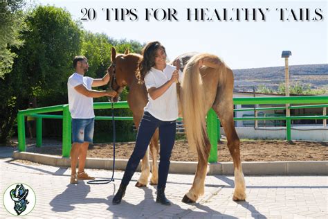 Maintaining a Horse's Healthy Tail, 20 Tips from Cowboy Magic - Cowboy ...