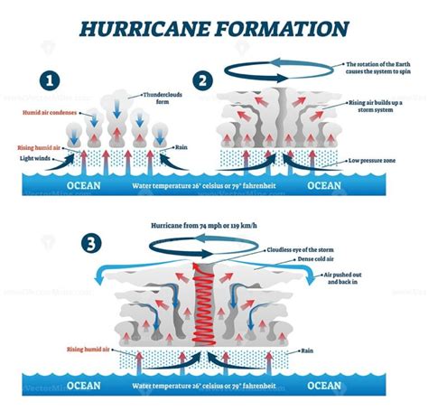 Hurricane formation labeled vector illustration - VectorMine