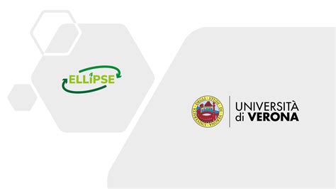 UNIVERSITY OF VERONA's contribution to ELLIPSE - ELLIPSE Project