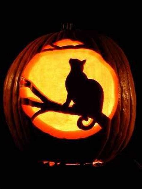 20+ Cat Pumpkin Carving Designs – DECOOMO