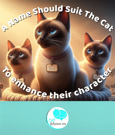 Siamese-cats-names | Cat Wisdom 101