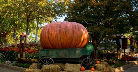 Busch Gardens will celebrate Halloween, here are the details