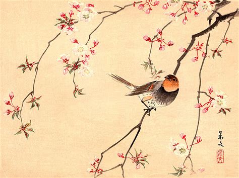 Bird and Flower japanese art Red Avadavat and Cherry FINE ART | Etsy