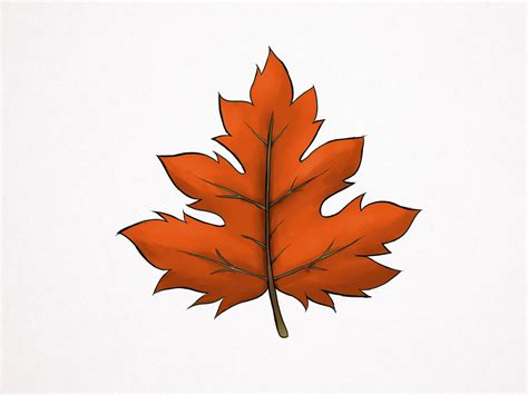 How to Draw a Maple Leaf: 10 Steps (with Pictures) - wikiHow